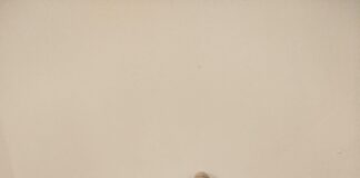 7ma EDICIÓN “El cuerpo como primer hogar”, la serie de obras ganadora del Premio UNNE Adquisición en ArteCo