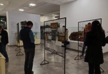 “Naturaleza en foco”, exposición fotográfica de diplomatura de FaCENA en el Museo Bonpland