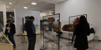 “Naturaleza en foco”, exposición fotográfica de diplomatura de FaCENA en el Museo Bonpland