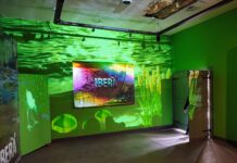 EXTENSIÓN UNNE Mapping, 3D y sonido envolvente del Iberá, para acercar los Esteros a la capital correntina