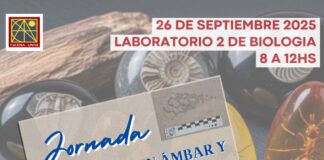 Como Jurassic Park, FaCENA invita a asomarse al mundo de insectos en ámbar y fósiles en rocas