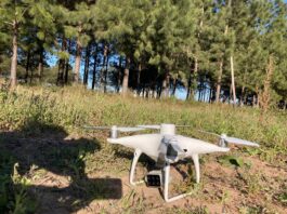 Con incorporación de herramientas tecnológicas, optimizan la realización de inventarios forestales