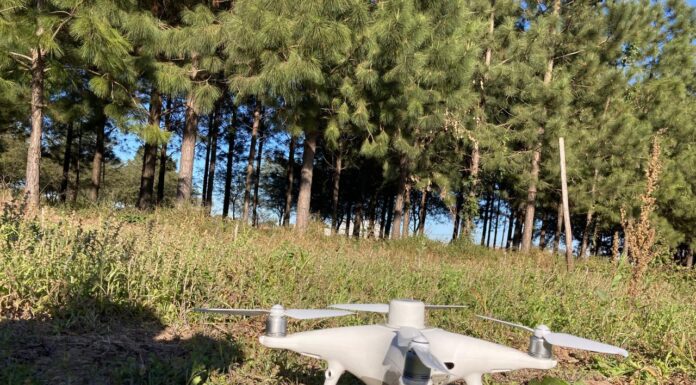 PROYECTO FEDERAL DE INNOVACIÓN Con incorporación de herramientas tecnológicas, optimizan la realización de inventarios forestales