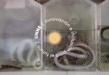 ¿Qué hacer si nos muerde una víbora?