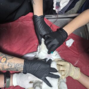 WhatsApp Image 2025-11-03 at 12.44.21 PM