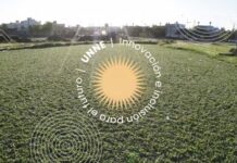 Recuperación y conservación de espacios verdes y humedales para un desarrollo urbano sostenible