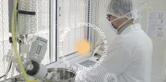 Reglamento de Estructuras de Investigación de la Universidad Nacional del Nordeste