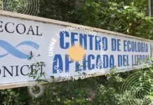 Paleobotánica: un investigador de Chile releva información en el Cecoal UNNE