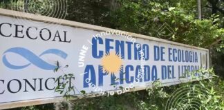 Paleobotánica: un investigador de Chile releva información en el Cecoal UNNE