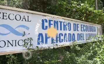 Paleobotánica: un investigador de Chile releva información en el Cecoal UNNE