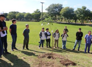 EN CORRIENTES Y RESISTENCIA Día de la Tierra: plantarán árboles en campus de la UNNE