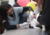 La UNNE promovió la salud animal y la prevención en una jornada abierta por el Día del Animal