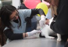 La UNNE promovió la salud animal y la prevención en una jornada abierta por el Día del Animal