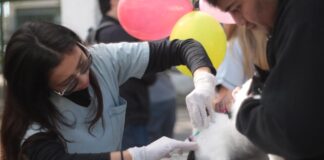 La UNNE participa en la promoción de la salud animal en una jornada abierta por el Día del Animal