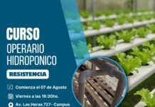 Curso “Operario Hidropónico”