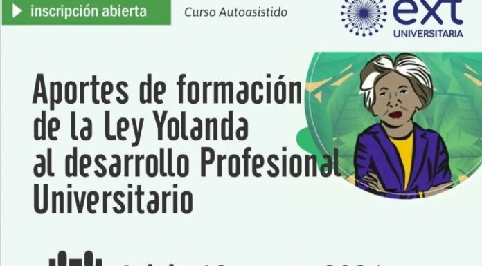 Aportes de Formación de la Ley Yolanda