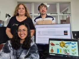 Logran explicar a escala molecular la interacción entre polifenoles de tanino de quebracho colorado y zeolitas