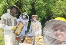 Extensión Universitaria Ciencias Agrarias ofrece un curso de apicultura recreativa para adultos mayores