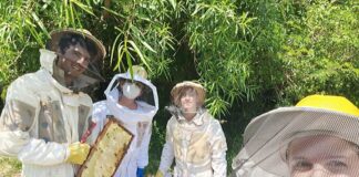 Extensión Universitaria Ciencias Agrarias ofrece un curso de apicultura recreativa para adultos mayores