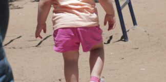 EN POBLACIÓN INFANTIL Medidas por COVID-19 incidieron en reducir la prevalencia de toxocariosis humana en Corrientes y Resistencia