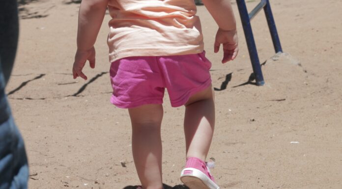 EN POBLACIÓN INFANTIL Medidas por COVID-19 incidieron en reducir la prevalencia de toxocariosis humana en Corrientes y Resistencia