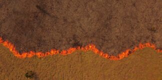 Centro Cultural Universitario “Historias que queman” en el Espacio Plasma