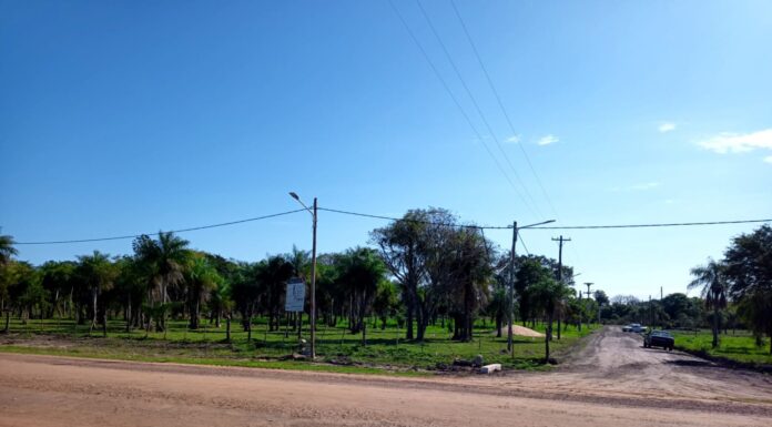 DESARROLLO SUSTENTABLE Identifican el desempeño termo-energético de viviendas en distintos entornos del Gran Corrientes