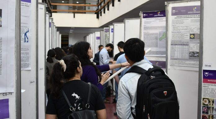 La UNNE accedió a 114 becas de estímulos a las vocaciones científicas