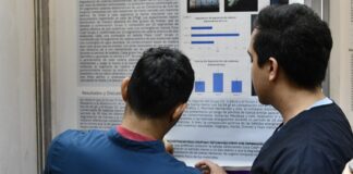 FORMACIÓN DE RECURSOS HUMANOS La UNNE aprobó la asignación de 158 becas internas de investigación