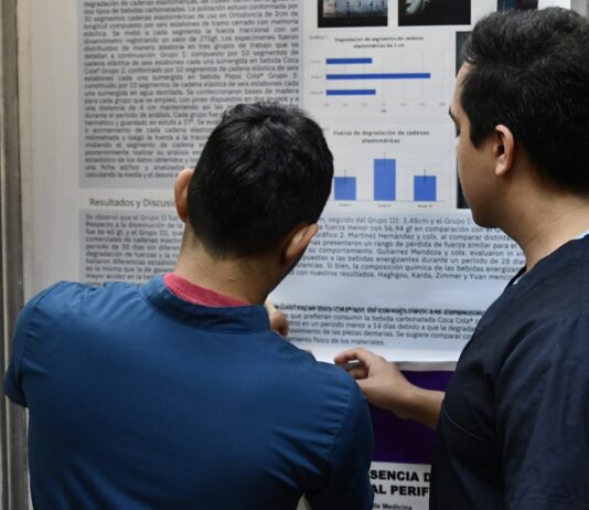 La UNNE aprobó la asignación de 158 becas internas de investigación