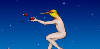 Centro Cultural Universitario  Gira Corrientes: Proyección de películas de la Bienal de Arte Joven