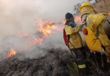 ESTUDIOS DESDE LA UNNE Bomberos voluntarios: una actividad de gran riesgo, pero sostenida por la vocación y la valoración social