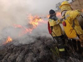 Bomberos voluntarios: una actividad de gran riesgo, pero sostenida por la vocación y la valoración social