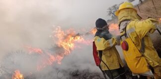 ESTUDIOS DESDE LA UNNE Bomberos voluntarios: una actividad de gran riesgo, pero sostenida por la vocación y la valoración social