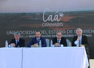 Se lanzó el proyecto “Caá Cannabis” que tiene a la UNNE como institución participante