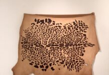 El artista paraguayo Marcos Benítez inaugura “La fiera entre las fieras”
