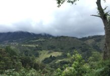 PARTICIPACION DE CECOAL Logran novedosos aportes para la comprensión paleoambiental de la región ecuatorial de Pangea en el Triásico Tardío