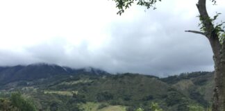 PARTICIPACION DE CECOAL Logran novedosos aportes para la comprensión paleoambiental de la región ecuatorial de Pangea en el Triásico Tardío