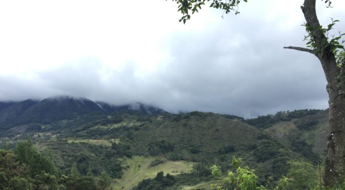 PARTICIPACION DE CECOAL Logran novedosos aportes para la comprensión paleoambiental de la región ecuatorial de Pangea en el Triásico Tardío