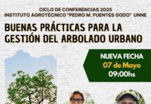 Conferencia «Buenas prácticas para la gestión del arbolado urbano»