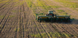 Identifican posibles impactos en lo social del avance de la soja sobre la estructura productiva de Chaco