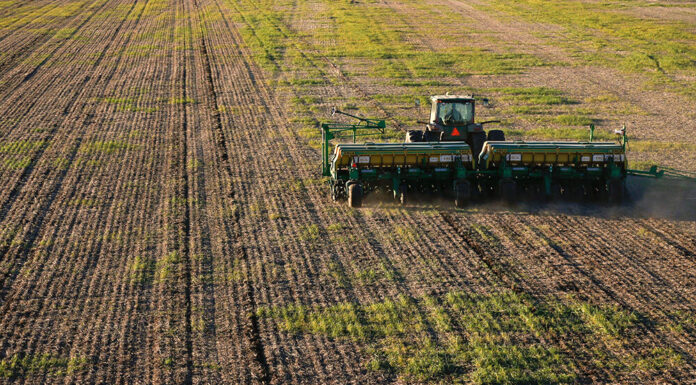 Identifican posibles impactos en lo social del avance de la soja sobre la estructura productiva de Chaco