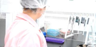 La UNNE otorgará 163 becas para fortalecer la formación en investigación