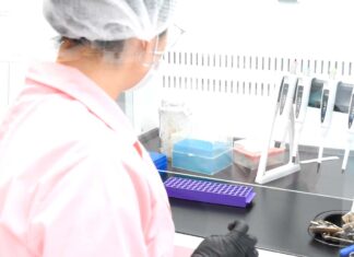 La UNNE otorgará 163 becas para fortalecer la formación en investigación