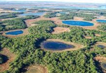 DITMAR KURTZ, INVESTIGADOR DEL INTA Humedales: «Una ley restrictiva podría condicionar aspectos de la producción»