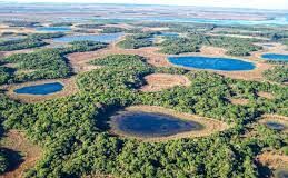 DITMAR KURTZ, INVESTIGADOR DEL INTA Humedales: «Una ley restrictiva podría condicionar aspectos de la producción»