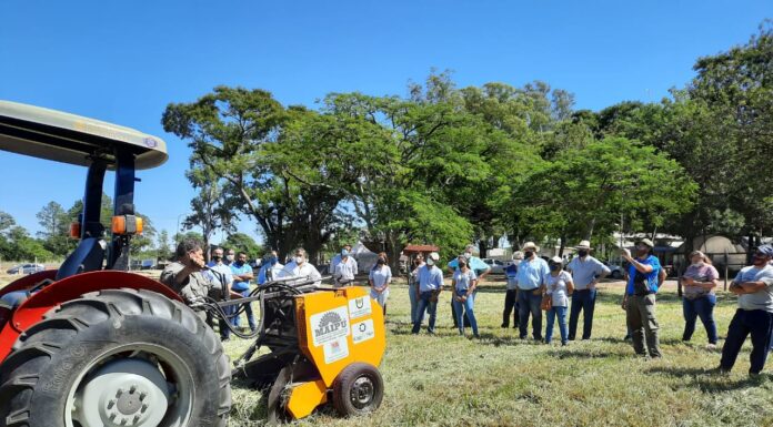 CIENCIA Y TECNOLOGÍA Destacan innovaciones tecnológicas propuestas para productores de mediana y baja escala del NEA