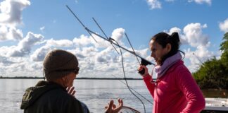 COORDINADO POR LA UNNE «Tras la Estela del Tigre», un nuevo proyecto de marcación y seguimiento de dorados por radiotelemetría