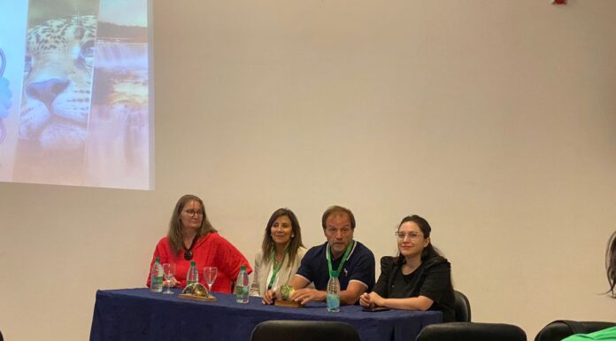 CONGRESO NACIONAL La Residencia de Medicina Familiar y General obtuvo un reconocimiento en Congreso Nacional