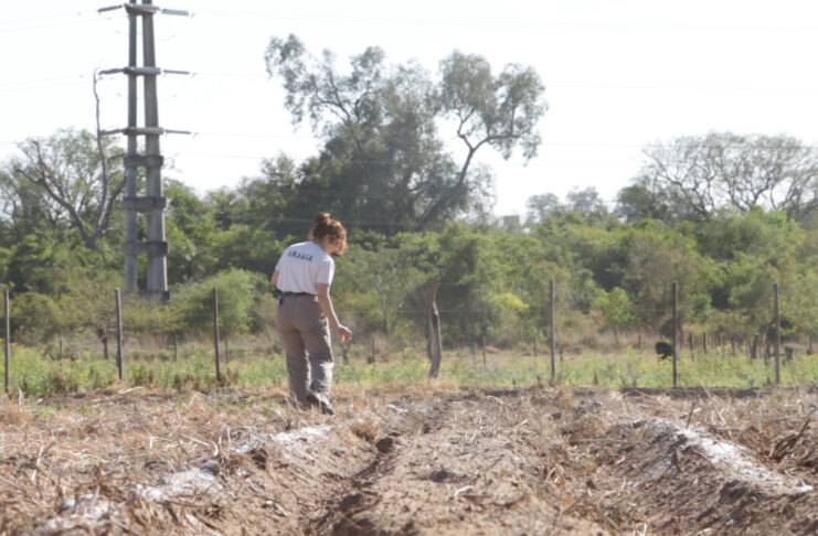 Con cambios y mejoras la E.R.A.G.I.A se prepara para recibir el 2023
